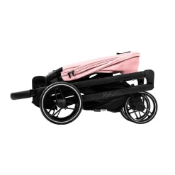 - Trío Newton Rosa*ASALVO Best