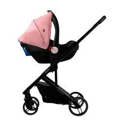 - Trío Newton Rosa*ASALVO Best