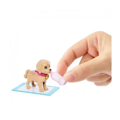 Barbie - Muñeca adopta perritos*MATTEL Sale