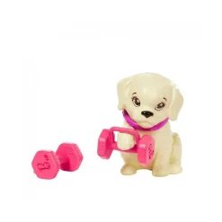 Barbie - Playset bienestar al aire libre*MATTEL Online