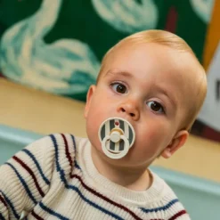 Online - Pack 2 chupetes Colour 6-18 meses - Ruby/Pine Mix Biberones Y Chupetes·Chupetes