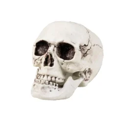 Sale Calavera decorativa Halloween (varios modelos) ㅤ Disfraces|Halloween