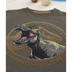 Camiseta de niño verde con estampado Jurassic*Prenatal Clearance