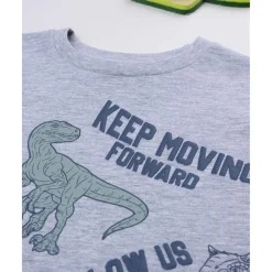 Camiseta gris dinosaurios niño*Prenatal Hot