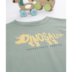 New Camiseta verde con estampado de dinosaurio Niño·Niño 2-10 Años|Niño 2-10 Años·Camisas Y Camisetas