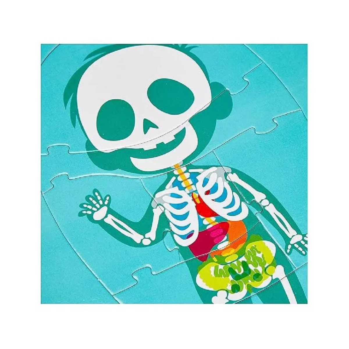 Clementoni - El Cuerpo Humano*MONTESSORI New