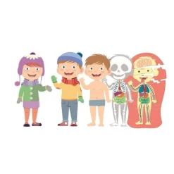 Clementoni - El Cuerpo Humano*MONTESSORI New