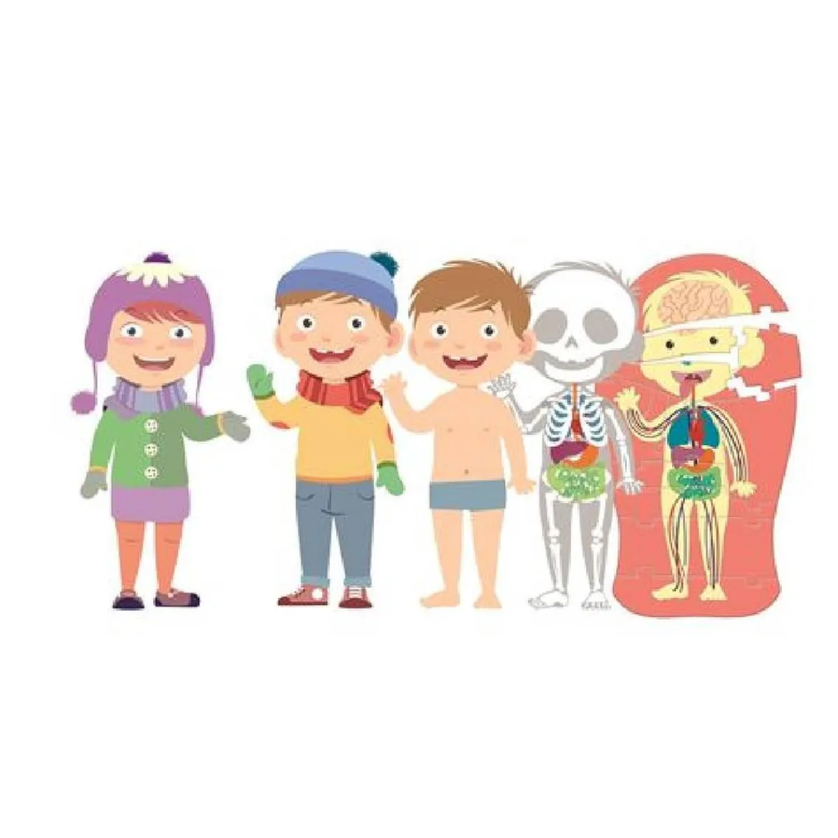 Clementoni - El Cuerpo Humano*MONTESSORI New