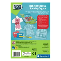 New - Kit Anatomía Squishy Organs Steam
