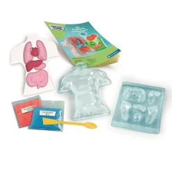 New - Kit Anatomía Squishy Organs Steam