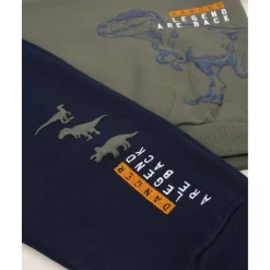 Online Conjunto deportivo niño T-rex Niño 2-10 Años·Conjuntos Y Deporte|Niño·Niño 2-10 Años