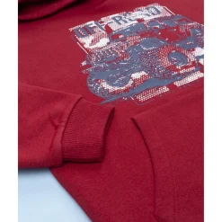 Conjunto jogging niño burdeos/azul capucha*Prenatal New