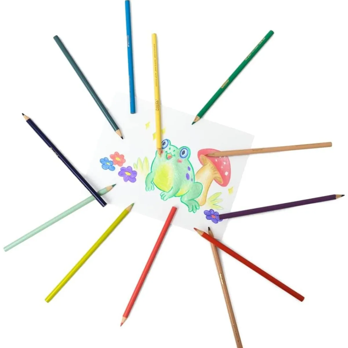 - Lápices de colores pastel de dibujo, caja de 12 colores ㅤ*CRAYOLA Clearance