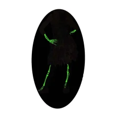 Outlet Disfraz infantil - Skelita de los muertos talla L Disfraces|Halloween