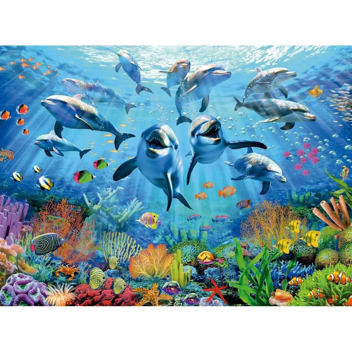 - Puzzle Fiesta Oceánica 500 Piezas ㅤ*EDUCA BORRAS Online