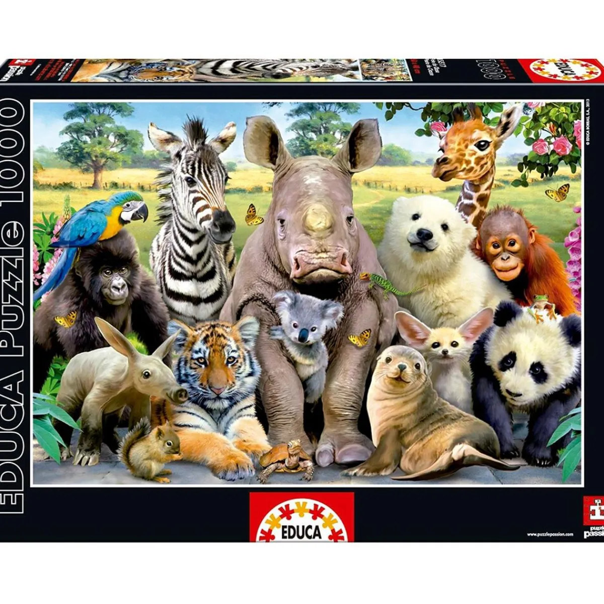 Borrás - Puzzle 1000 Piezas - Foto de Clase*EDUCA Outlet