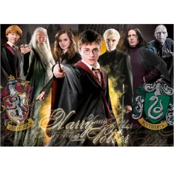 Educa Borrás - Puzzle 1000 piezas Harry Potter*EDUCA BORRAS Outlet