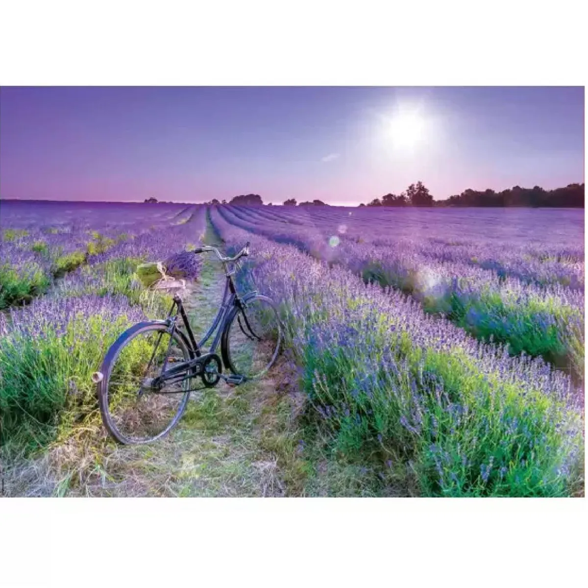 Educa Borrás - Bicicleta en campo de lavanda - Puzzle 1000 piezas*EDUCA BORRAS Online