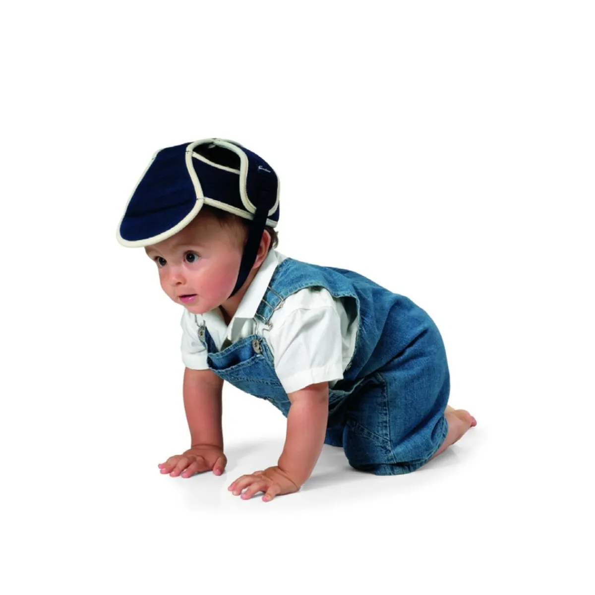 - Chichonera azul*GIORDANI Online