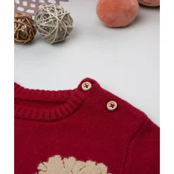 Jersey de niño rojo con bordados de animales*Prenatal New