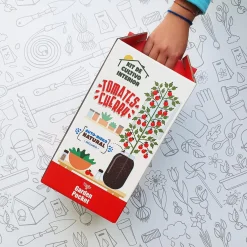 New Kit de cultivo de tomate Cherry orgánico para interior Steam