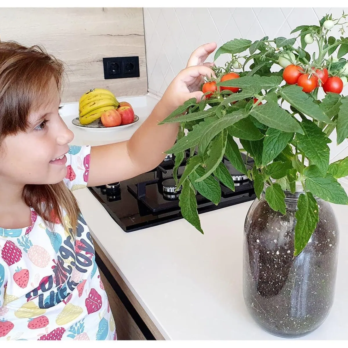 New Kit de cultivo de tomate Cherry orgánico para interior Steam