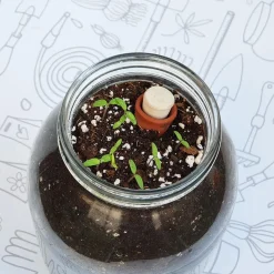 New Kit de cultivo de tomate Cherry orgánico para interior Steam