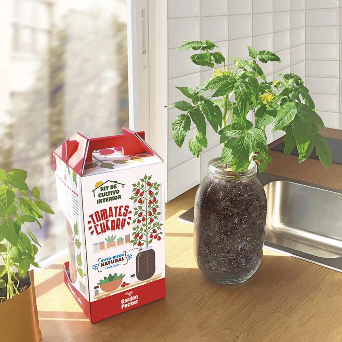 New Kit de cultivo de tomate Cherry orgánico para interior Steam