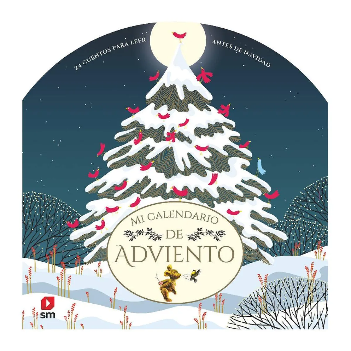 Mi calendario de Adviento Juguetes Educativos Y Libros