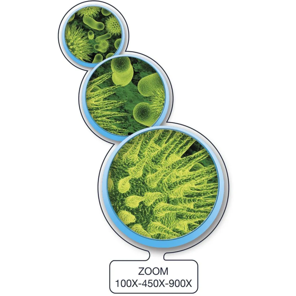 - Microscopio inteligente conectable Steam