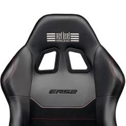- Asiento de carreras ERS2 Elite*NEXT LEVEL RACING Discount