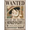 One Piece - Póster Luffy Wanted Se busca Friki Zone|Merchandising