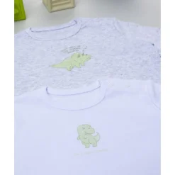 Clearance Pack 2 bodies de manga larga niño gris y blanco con dinosaurios Descanso Y Ropa Interior·Bebé 3-36 Meses