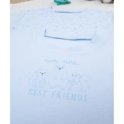 Outlet Pack 2 camiseta niña azul algodón orgánico Descanso Y Ropa Interior·Infantil 2-10 Años