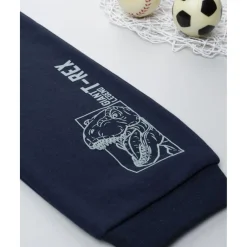 Pantalón niño azul felpado “T-Rex”*Prenatal Clearance