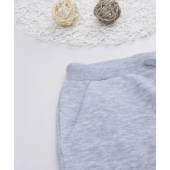 Pantalón niño gris “Dinos” felpado*Prenatal Hot