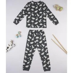 Pijama niño gris oscuro Dino*Prenatal Clearance