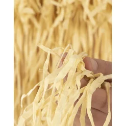 Outlet Primo Eso La Familia Addams Talla única Disfraces|Halloween