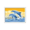 Online Ravensburger - Delfines amigos CreArt Arte Y Manualidades