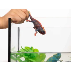 - Figura de camaleón vida salvaje para niños ㅤ Coleccionables Y Mini Mundos