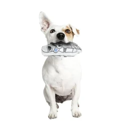 Star Wars - Soldado Imperial - Peluche para perros*ARTESANIA CERDÁ Best