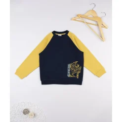 Sudadera niño azul/amarilla “Triceratops” raglán*Prenatal Sale