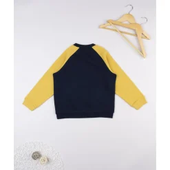 Sudadera niño azul/amarilla “Triceratops” raglán*Prenatal Sale