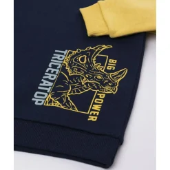 Sudadera niño azul/amarilla “Triceratops” raglán*Prenatal Sale
