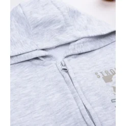 New Sudadera niño gris con dinosaurio Niño 2-10 Años·Jerséis Y Sudaderas|Niño·Niño 2-10 Años