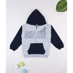 Sudadera niño gris/azul “Dinos” con capucha*Prenatal Online