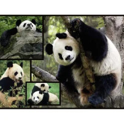 - Pandas - Puzzle 1000 piezas*WWF Best